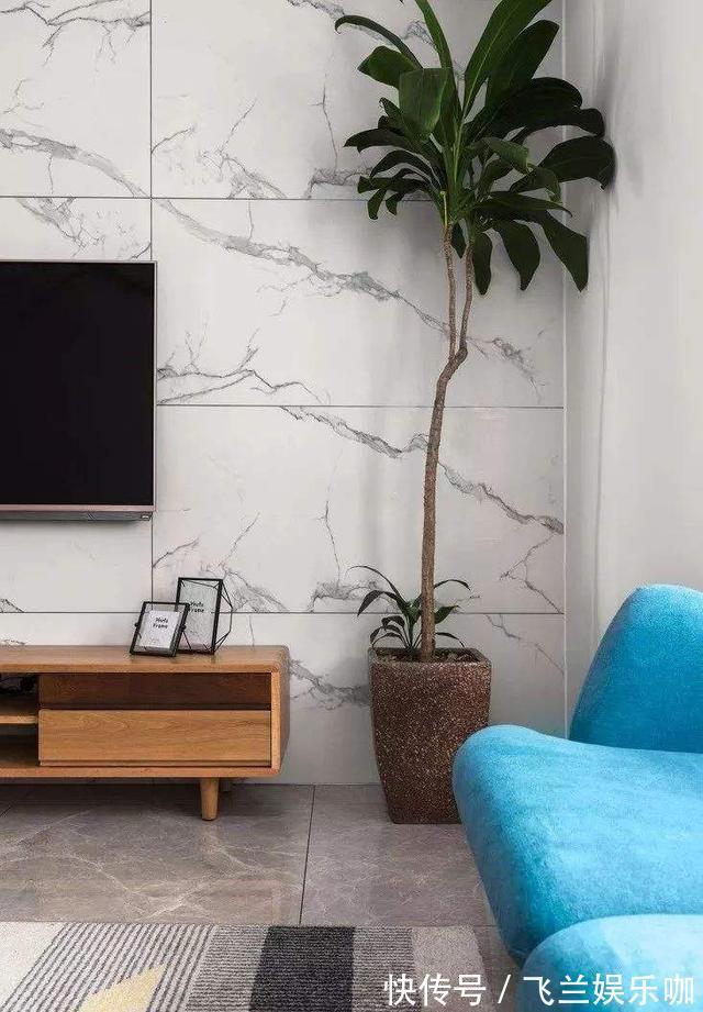 叶片|养花，不懂得规避这9个误区，难怪盆栽一直饱受摧残