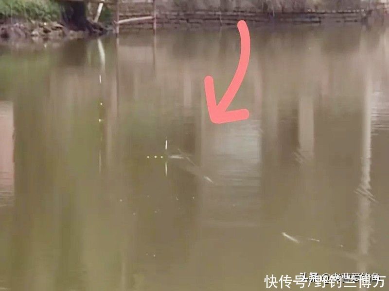 这种“流氓”钓法,只因“杀伤力”较大,所以被很多钓友唾弃
