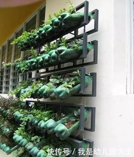 矿泉水瓶别扔了,对半切种菜,阳台秒变大菜园,天天都吃新鲜菜!