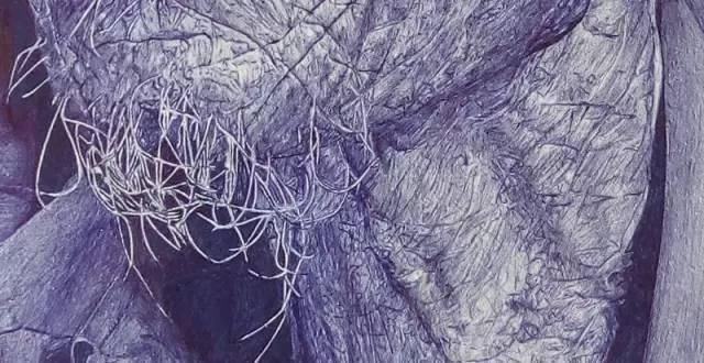 好好学习|这个高一男孩不好好学习,却用圆珠笔画出了纸上奇迹,专家都不敢相信