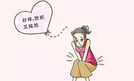 外阴|外阴瘙痒?妇科炎症?中医一招,最直接、最有效、最简单!