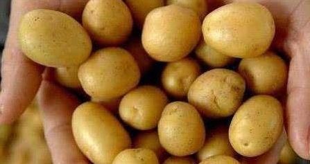 春天不想大肚腩，常吃几种食物，排毒燃脂，清理肠胃，甩掉小赘肉