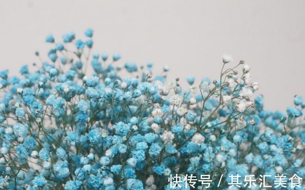 一朵花|养花试试这几款,四季开花频繁,也有怡人的花香