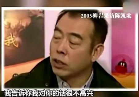 柳岩|陈凯歌因《无极》回怼李成儒，15年前，他也这样怼过柳岩