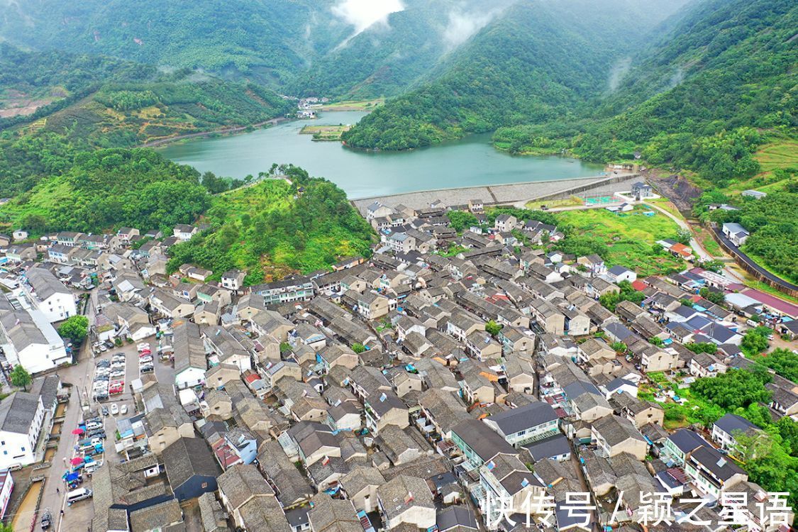 湖光山色|奉化状元岙，湖光山色，千年古樟到底谁是树王