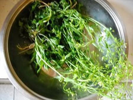 日本人长期必吃的“长寿菜”,我国产量大但没人吃,含钙比牛奶高