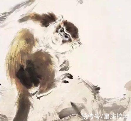 福气|属兔人2021年的贵人都是什么生肖？带来好运和机遇，福气不简单