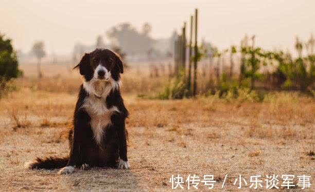 生肖牛|7天后，再见，喜鹊登门，冰释前嫌，喜结良缘，皆不后悔