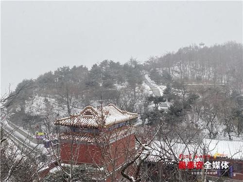 下雪|泰山又下雪啦！青山原不老，为雪而白头