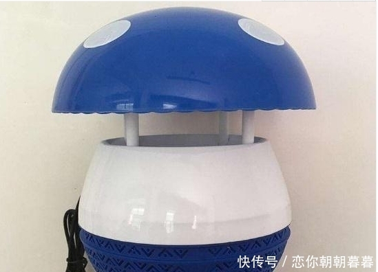 夏天|驱蚊只能用蚊香？老一辈都是一盆水就能搞定，效果好操作简易