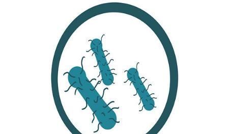 头发越洗越油、总是掉头发是怎么回事?是不是与洗头频率有关系?