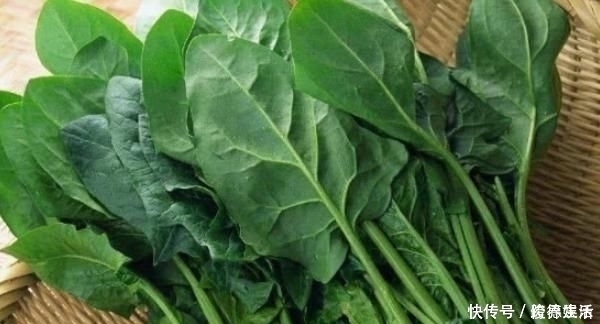 韩信草|农村这种野草,农民用它泡水喝,活血化瘀,老人腰也不痛了