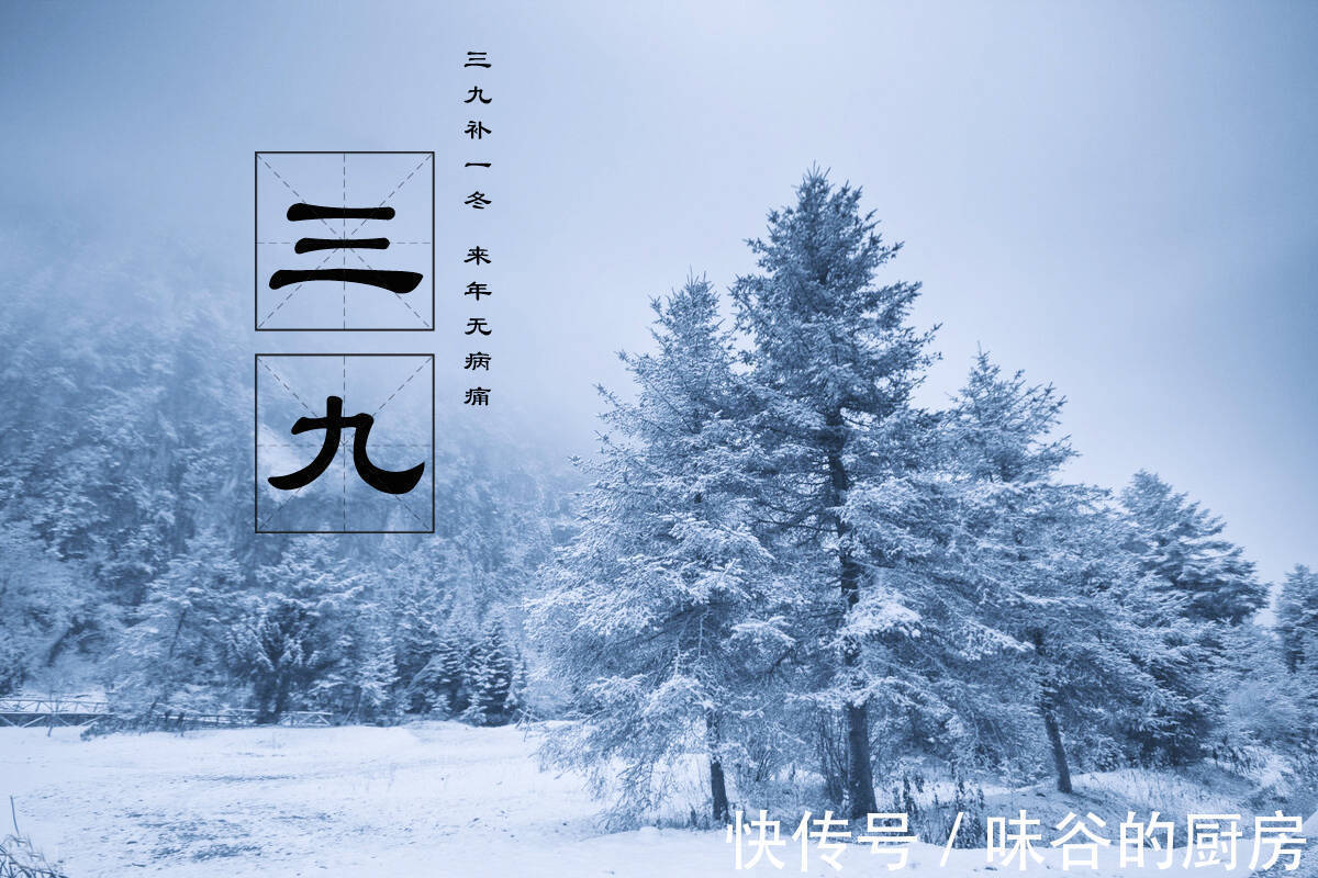 植物蛋白|明日进入三九天,再忙也别忘了吃“六个一”,顺应时节,平安过冬