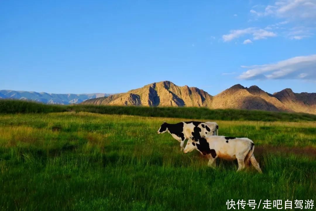 天山脚下的边陲小城，名气虽不及伊犁，但风景美如画