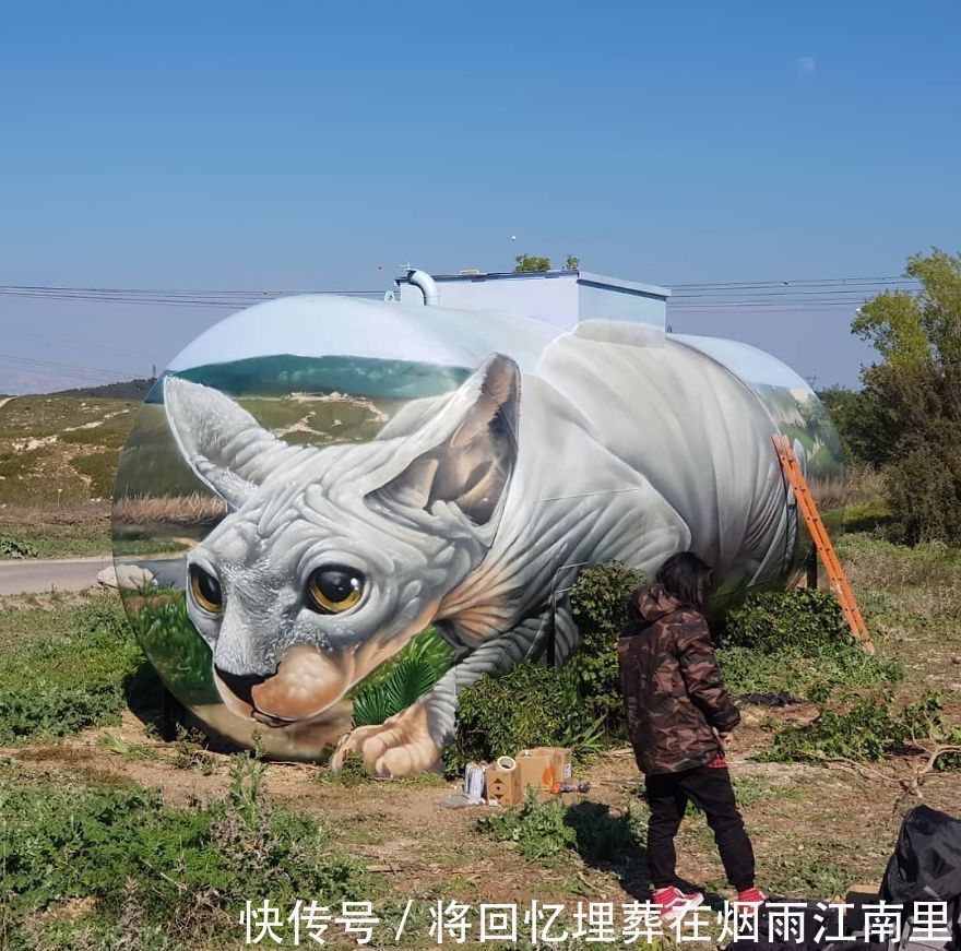 真假|18张令人惊叹的裸眼3D画,一面墙凭空消失,狗都分不清真假一直叫