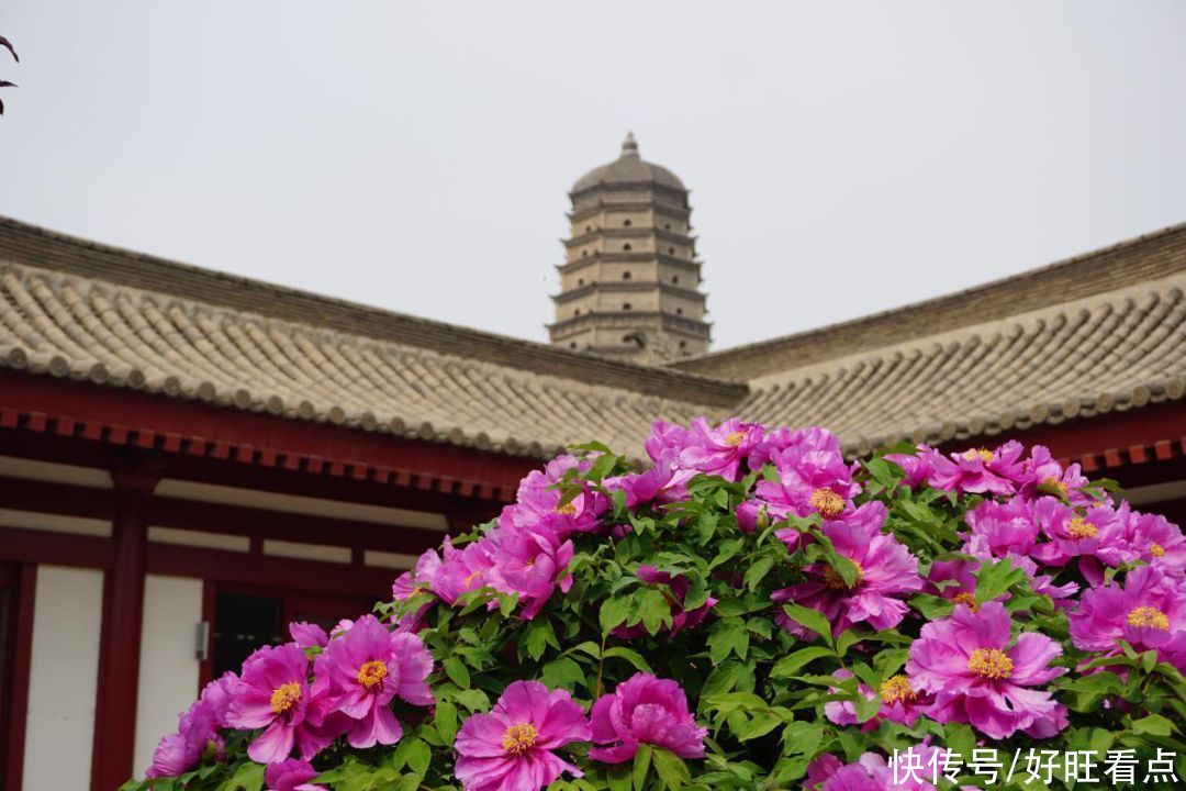 法门寺|魅力陕西行· 法门寺 每个季节都很美