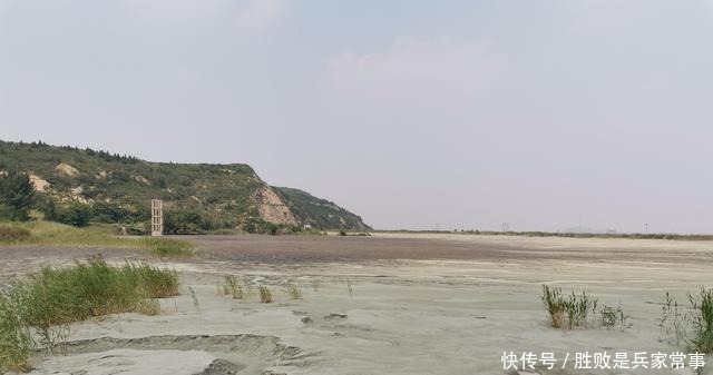 芦苇|黑铁山东麓有个干涸的水库,不知做什么用只剩芦苇在风中摇曳!