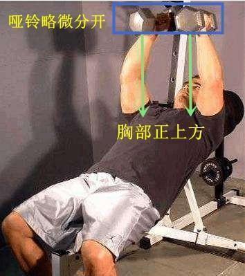 胸肌|上斜卧推末尾,加入1个哑铃飞鸟动作,更有效刺激上胸肌肉