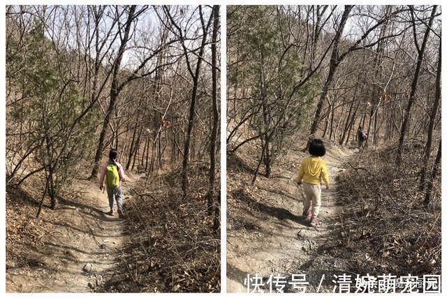 身体|想要孩子身体好，饮食和运动都要重视，一周七天换着花样吃早餐