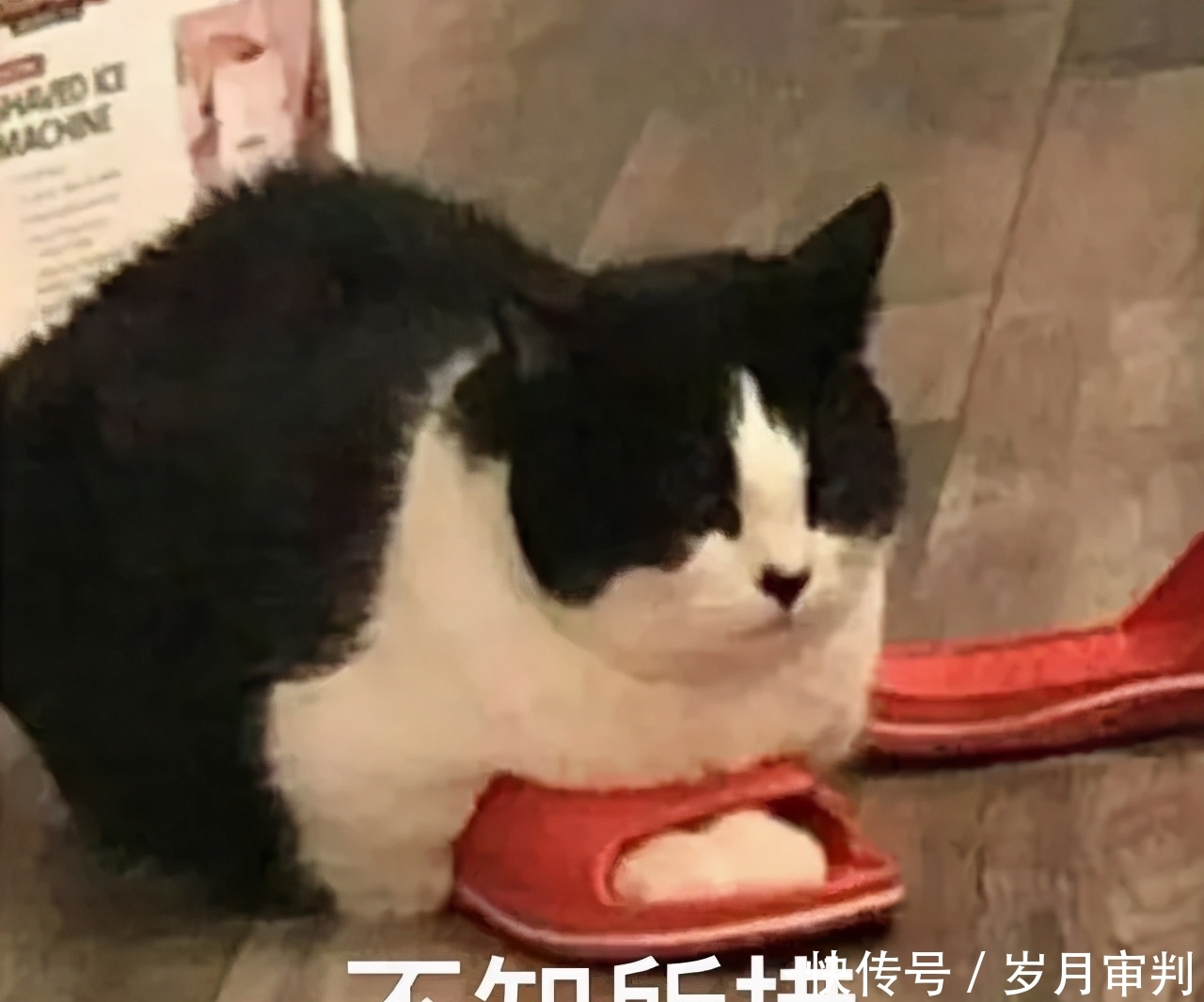 这20支春夏口红太绝了!显白有气质,谁涂谁美炸