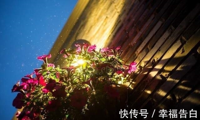 夜未央！散文，如花薰梦