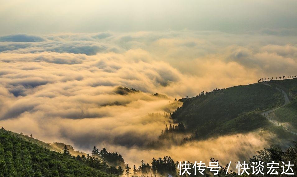 世外桃源|这个夏天你值得奔赴的清凉胜地——留梦河谷