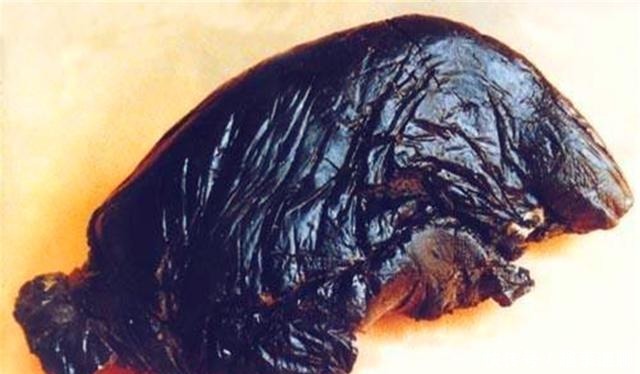 吉利|鸦片又臭又丑,为什么清朝很多人还喜欢抽?因为它有个吉利的名字