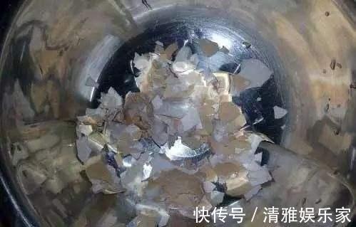 淘米|茉莉花最爱3种“肥料”,家中就有,浇一点,花大芳香、开爆盆!