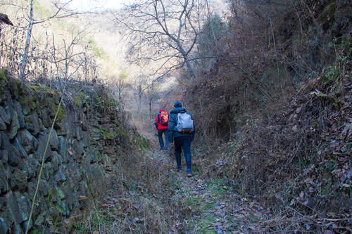 老房子|寻访秦岭孤山沟，沟垴两户人家的景象，荒凉寂静得令人忍不住哭泣