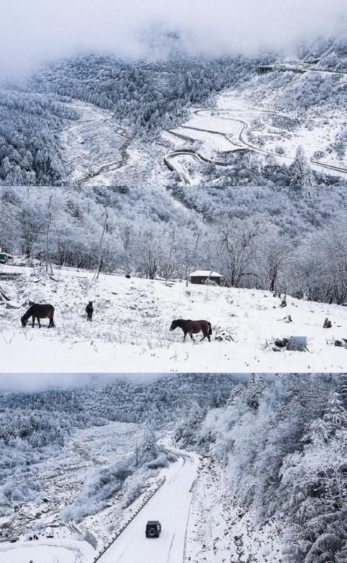 乘風(fēng)破浪的姐姐|王俊凱董子健劉昊然三直男自駕川藏線,景色如畫,看完想去旅游了