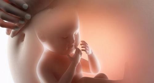 孩子|孩子真的有“宫内记忆”吗？妈妈：我4岁女儿的话，让我瑟瑟发抖