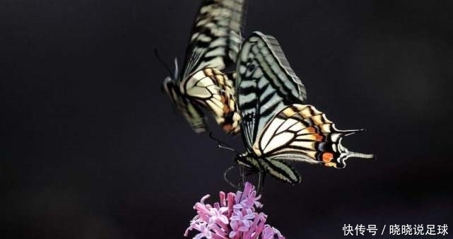 猫脸女孩上非诚勿扰相亲,10年内没人敢牵手,卸妆后结局如何?