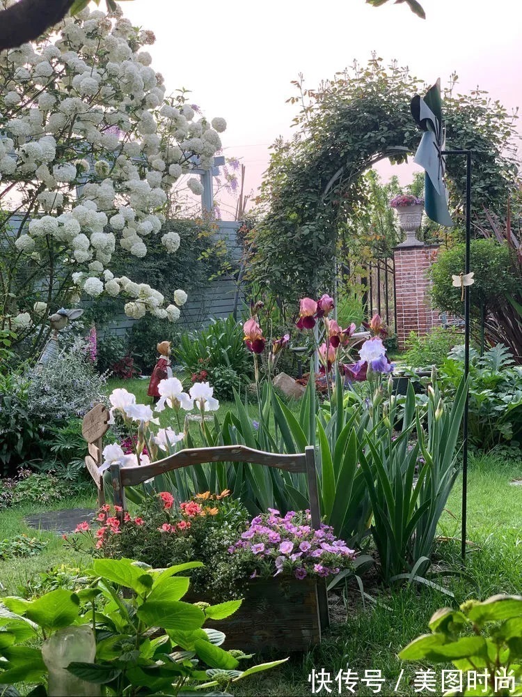 满园|2年前,买了一栋带院子的房子,在高楼喧嚣中建一个“梦幻花园”