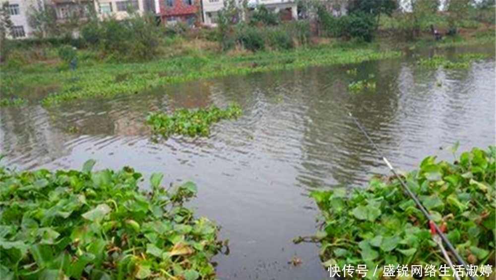 野钓选不好钓位要“空军”，牢记这几点，到什么水面都能找到鱼群