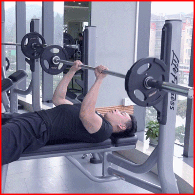 营养|力量健身和跑步锻炼的营养需求是相同的吗?