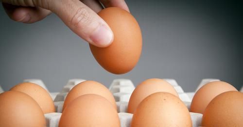要点|鸡蛋保鲜有技巧,不能直接放冰箱,牢记3个保存要点,鸡蛋更保鲜