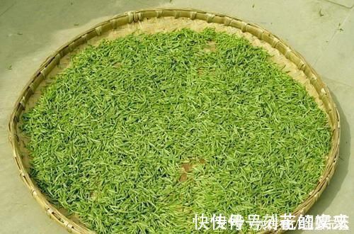 高血压|此物被称为高血压的克星,没事喝一点,平稳血压,还降脂降糖