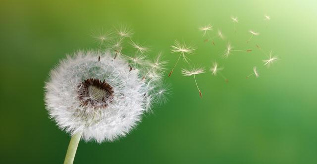 食物|秋天不妨多吃3种食物,美容养颜,延缓衰老,有益身体健康