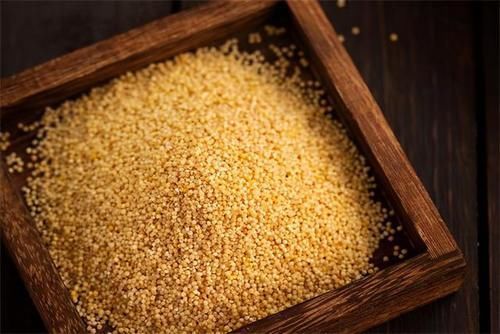 山药|脾虚吃什么食物补最快，5种补脾益胃的食疗方