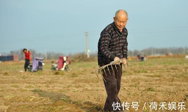 大妈|城里人到黄河滩捡拾“小人参”，68岁大妈连来两天，说蒸蒸特好吃