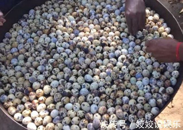 大爷|大爷支起一口大锅，600个鹌鹑蛋放进锅里煮，一小时出锅，傻住