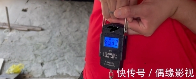 上海一河道鲫鱼大爆发，一天轻松钓上十几斤，有人拄着拐杖去钓鱼