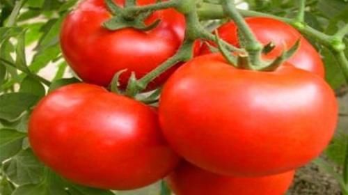 补充营养|每天坚持吃三种食物，补充营养、排毒养颜，滋润肌肤！