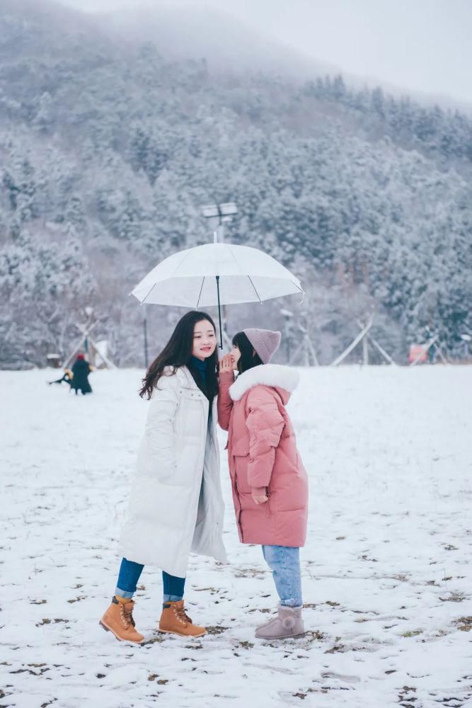 下雪|太美了！月坝下雪啦，刷爆朋友圈！