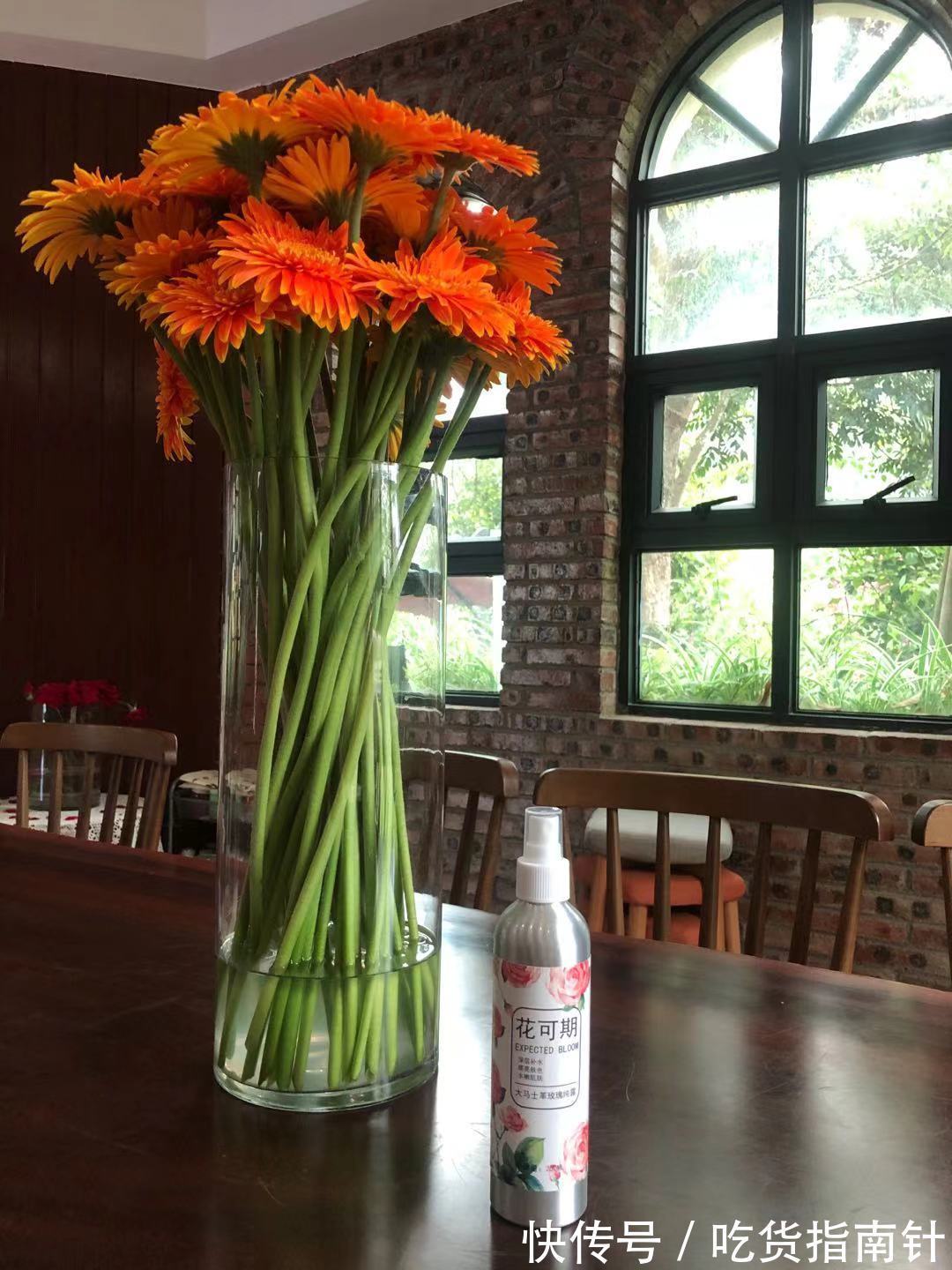 纯露|人气美白去暗沉的爽肤水推荐:深层滋润补水,轻松涂抹,红淡润肤