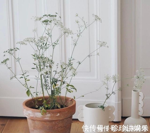 家居|看完她家后,我彻底被治愈了!全屋轻奢风十足,精致又好看,超暖!