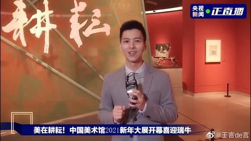 新面孔|央视新面孔王言站稳脚跟，典型新闻播音腔，整体能力被看好