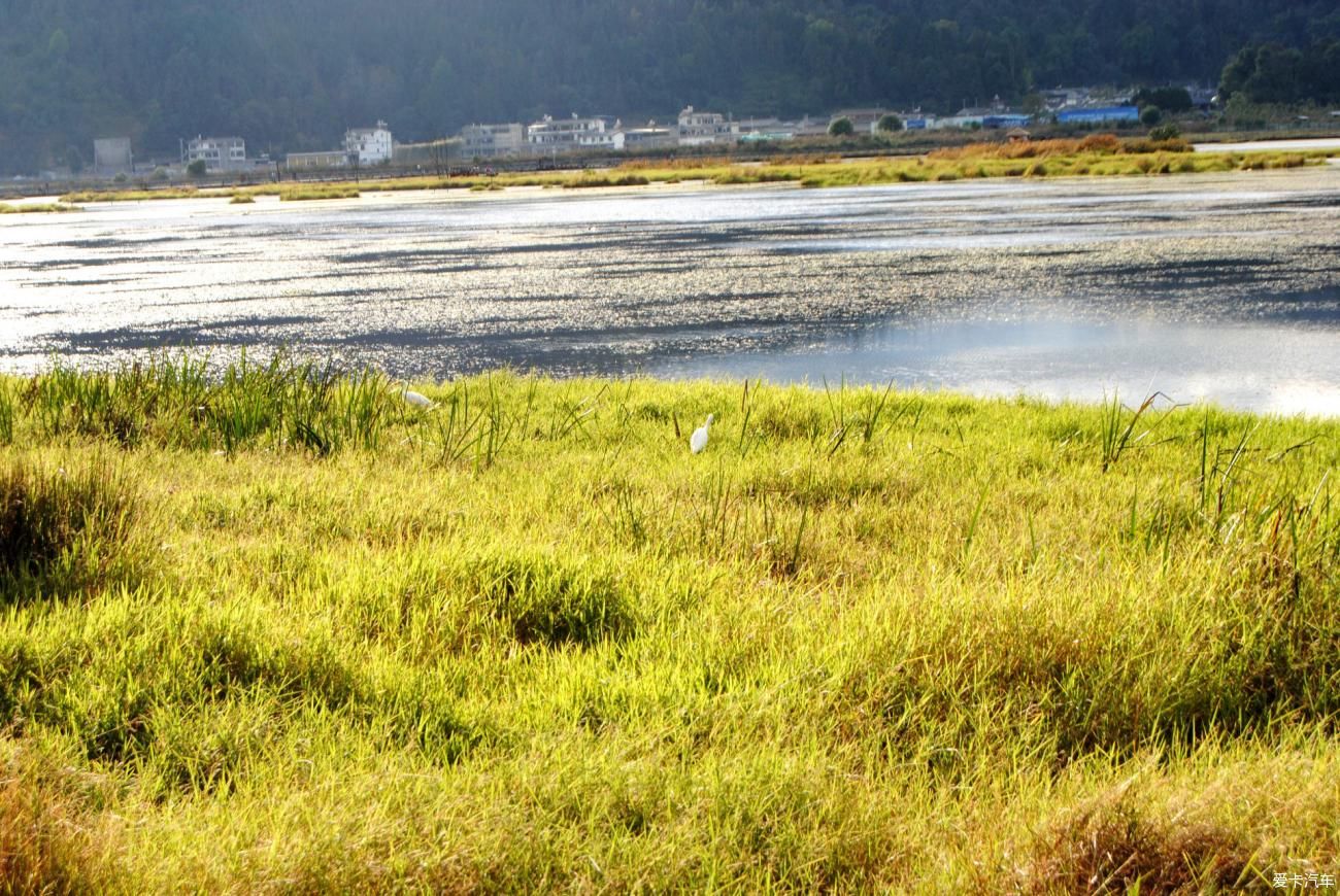 湿地|北海湿地小镇