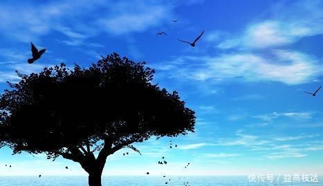 代表作品&苏轼看穿人生的经典之作,句句经典,结尾8字令无数人落泪