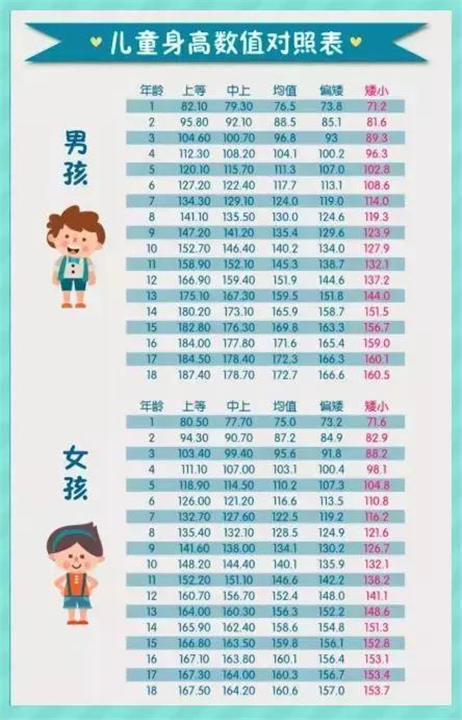标准身高表21